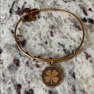 Alex and Ani bracelet